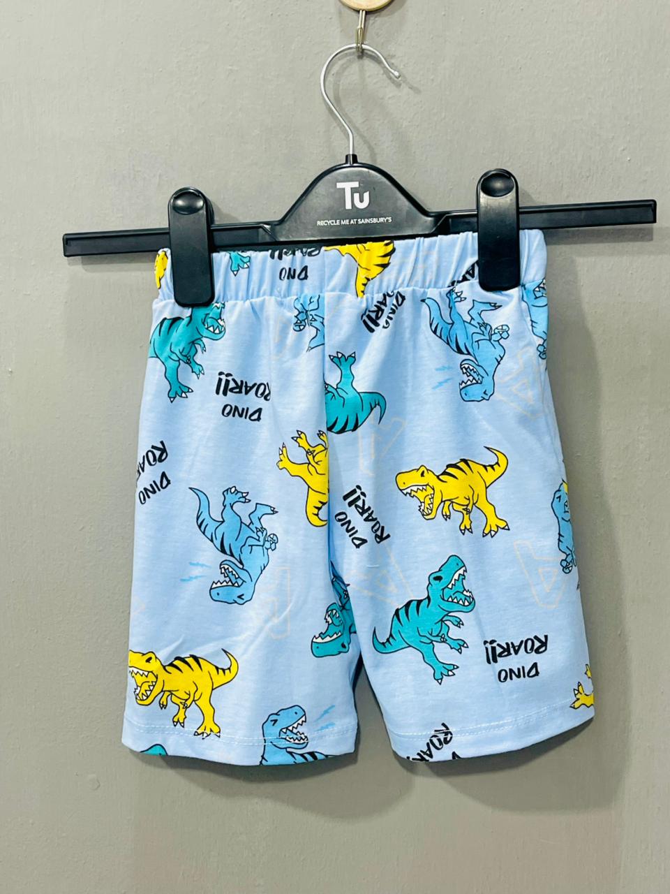 Dino Roar Print Print Co-ord Set